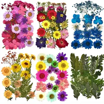 1 Пакет Истински Сушени Цветя Сухи Растения За Ароматерапия Свещ Епоксидна Смола Висулка Колие Производство на Бижута Занаят САМ Аксесоари