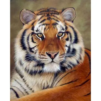 GATYZTORY Рамка Сам Картина От Номера Тигри Животни Боята По Номера на Акрилна Живопис Върху Платно, Ръчно Рисувани Изкуството на Рисуване