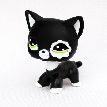 LPS КОТКА рядко Малък магазин за домашни любимци, играчки с bobble главата на застояла оригиналната късокосместа котка #2249 черна европейската коте 1