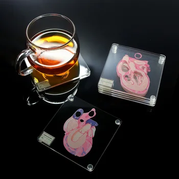 Анатомични Подложки За Проби На Сърцето Анатомия На Парчета Сърцето Акрилни Квадратни Подложки Подложка За Чаша Напитка Домашен Бар С Кухненски Интериор Вечерни Полза 0