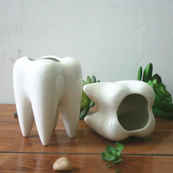 Бяла Керамика Месест Малка Саксия Във Формата На Зъба, Тенис На Саксия За Домашни Растения За Декорация Във Формата На Зъба, Тенис На Керамични Саксия 1