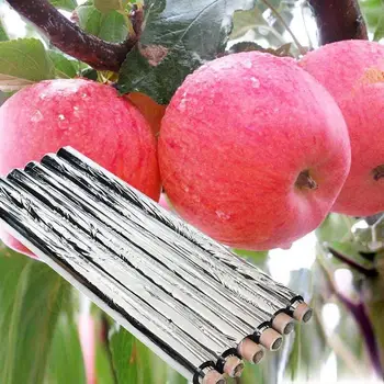 Земеделие Алуминиево Фолио С Покритие Оранжерия Отразяваща Майлар Открит Плод Ябълка Грозде Расте Грижи Зрял Ускоряване На Мат 1