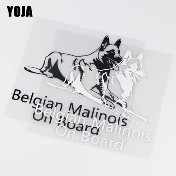 ЙОХА 16X15,1 см Белгийски Овчарки Малиноа На Борда Vinyl Стикер Декор на Колата Стикер ZT2-0044