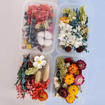 Направи си САМ Аксесоари 1 Кутия за Сухи Цветя Сухи Растения За Ароматерапия Свещ Епоксидна Смола Висулка Колие Производство на Бижута Занаят