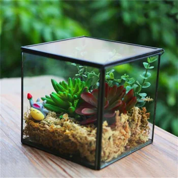 Прозрачна Стъклена ваза за Терариума под формата на Куб с капак, Креативна Настолна Ваза за Цветя, За Декориране на Дома и Сватба