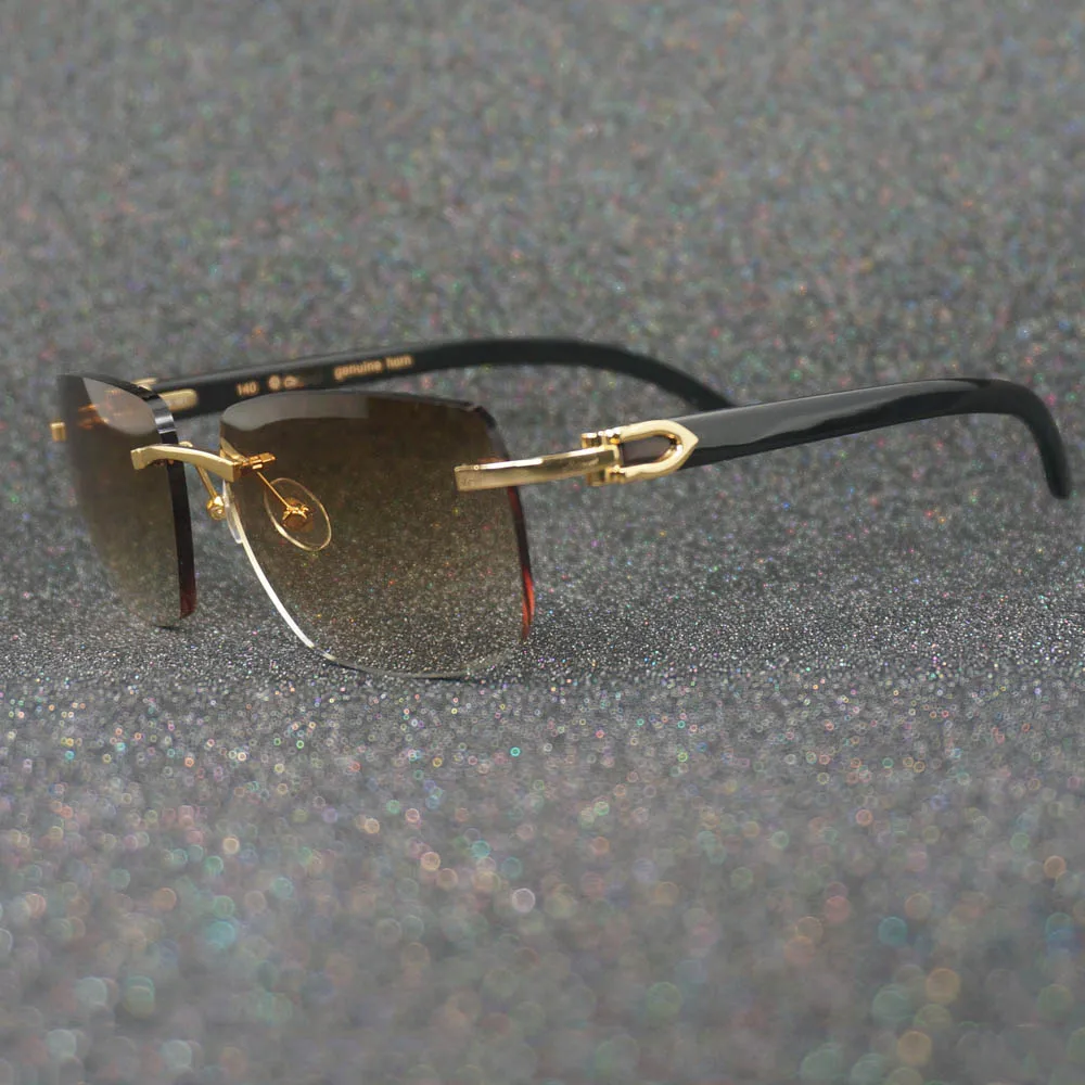 Carter Мъжки Слънчеви Очила Фотохромичните Черни Нюанси от Рог на Бизон, за Жени Слънчеви Очила са Модерни слънчеви Очила Мъжки Слънчеви Очила Очила 0