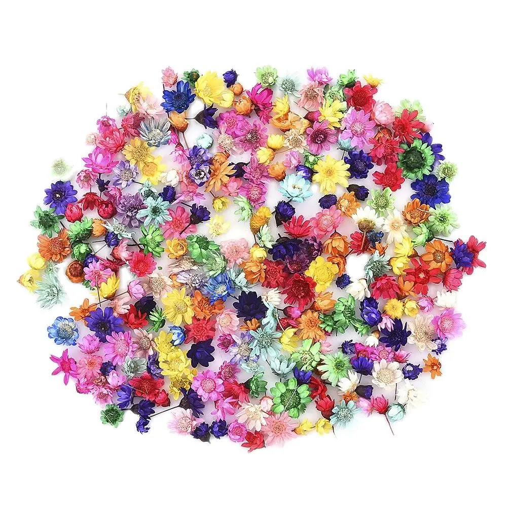 Малки Естествени Сухи Цветя, Мини-Звезди на Бразилия Малки Звездни Цветя за Diy от Епоксидна Смола 3